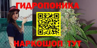 spice Лесосибирск