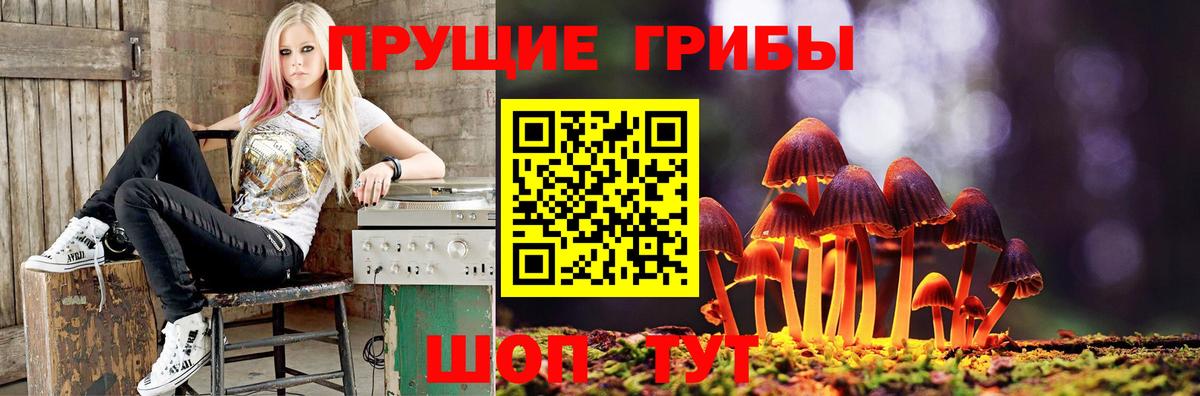 Назарово  Псилоцибиновые грибы ЛСД  Вход с VPN 